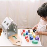 House Wooden Shape Sorter